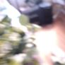 Artificial flowers Image 4