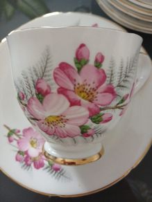 Vintage Tea set