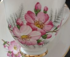Vintage Tea set