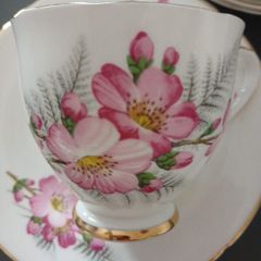 Vintage Tea set