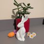 Some-bunny to Love Image 6