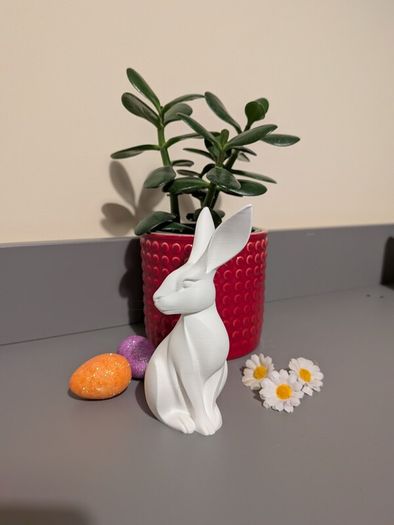 Some-bunny to Love