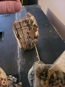 fish tank