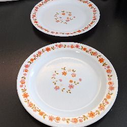 Vintage Arcopal France Orange Floral 27cm Dinner Plates Pair