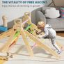 8 in 1 Indoor Triangle Climbing Frame for Toddlers, Foldable Baby Climbing Toys Set, Jungle Gym Montessori Climber for 2-6 Years Old- Rainbow Image 3