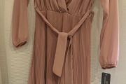 Blush Midi Dress