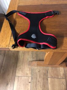 Dog harness