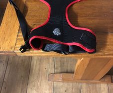 Dog harness