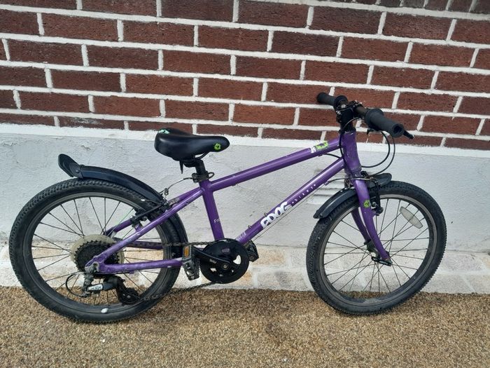 Frog Bike 55