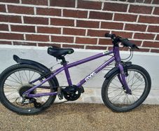 Frog Bike 55