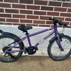 Frog Bike 55