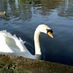 gildz_04