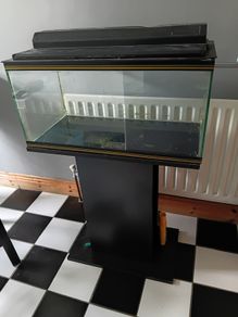 Fish tank with stand