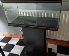 Fish tank with stand