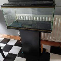 Fish tank with stand