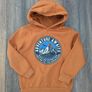 Boys Hoodies Bundle x 4 Image 4