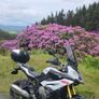 S1000XR, It's all about the condition Image 2