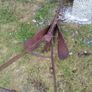 Plough and scuffler Image 6