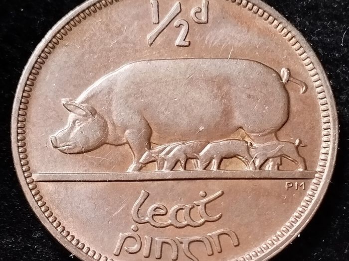 Ireland - 1928 - Half Penny - KM.2 - [895]
