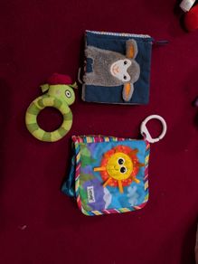 Baby sensory books and a rattle toy