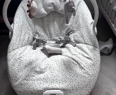 Baby bouncer