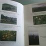 Our grassland heritage A case for conservation Ireland Image 3