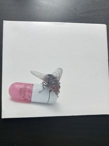Red Hot Chili Peppers - I'm With You CD