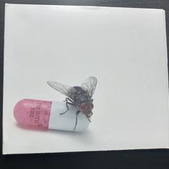 Red Hot Chili Peppers - I'm With You CD