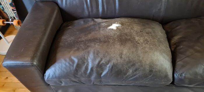 Leather Couch