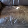 Leather Couch Image 5