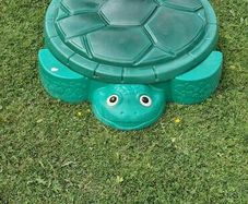 Turtle Sandpit/Paddling Pool