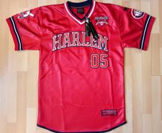 Vintage Fubu Harlem 05 Jersey - New With Tags -Size M - New York Fubu City Series -