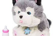 husky toy