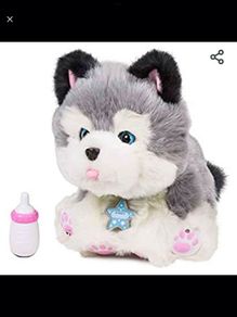 husky toy