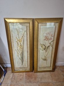 Vintage Tall Painting frames.