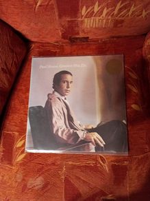 Lp Paul Simon Greatest Hits Lp In Great Condition