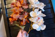 beige and brown flowers on stems