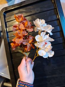 beige and brown flowers on stems