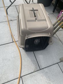 Pet Carrier