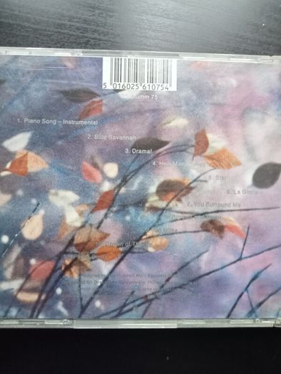 Erasure - Wild CD
