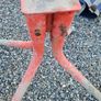 cement mixer stand belle Image 2