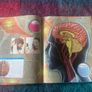 Books bundle for children - 4 books Image 7