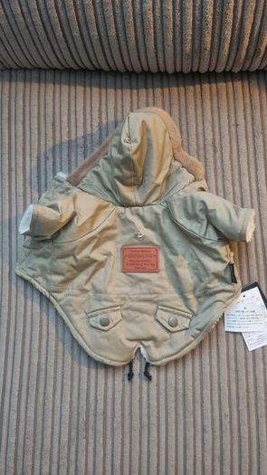 Tiny Dog Outfit