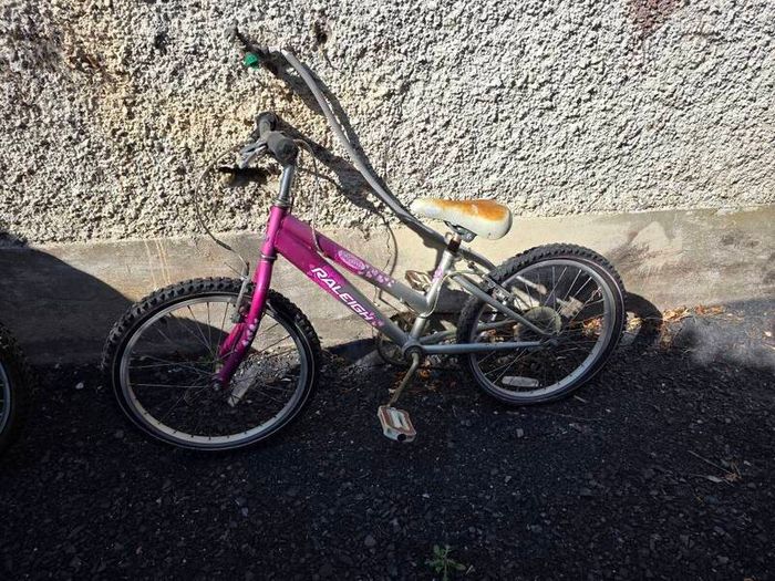 2 girls bike's