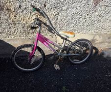 2 girls bike's