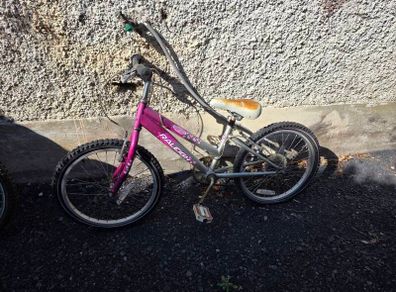 2 girls bike's