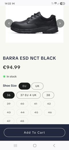 workshoes size