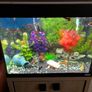 Two Fluval fish tanks and a unit including all accessories required Image 6