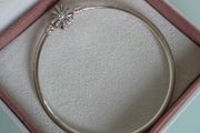 Pandora fireworks bangle bracelet very good condition,for the right size please check the last photo.