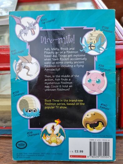 Pokemon book bundle